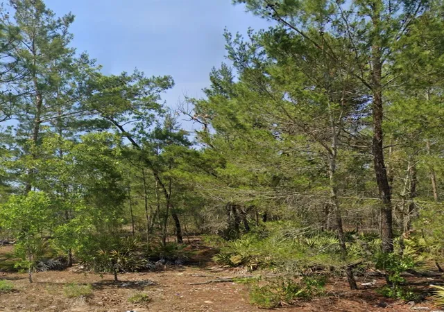 5th image of Malauka Trak, Ocklawaha, FL 32179 | MLS# OM729776