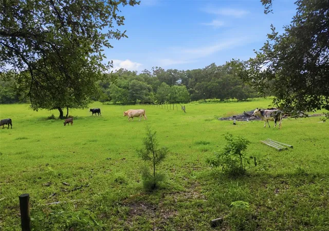 Photo 3 of Single family home for sale at 9299 Weatherly Rd, Brooksville, FL 34601 | MLS# TB8536049 | Listing updated on 2026-08-06