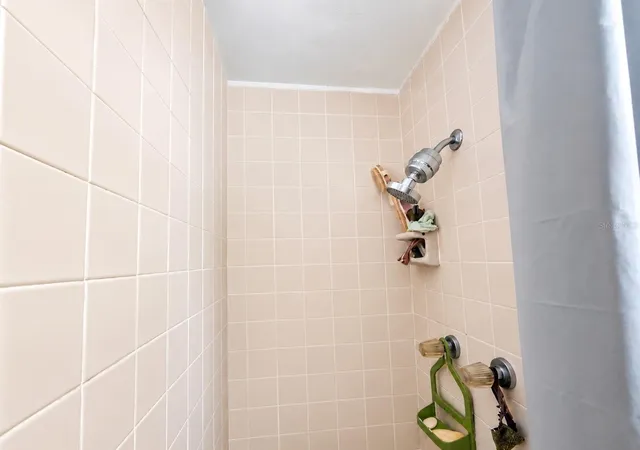 43rd image of 344 N Frederick Ave, Daytona Beach, FL 32114 | MLS# TB8536054