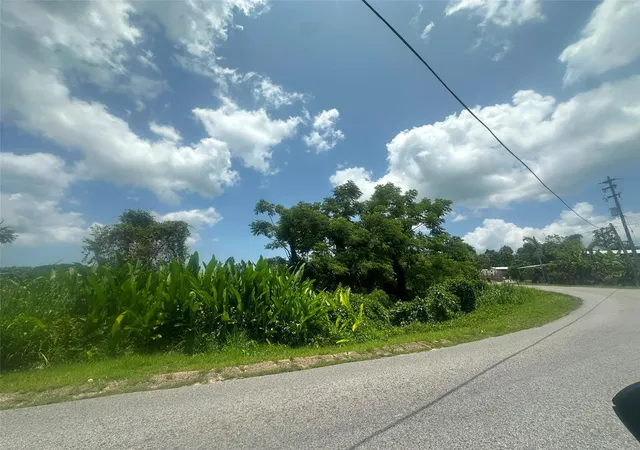 Photo 1 of Land for sale at Carr 4403 Barrio Naranjo, Moca, PR 00676 | MLS# PR9123212 | Listing updated on 2026-08-06