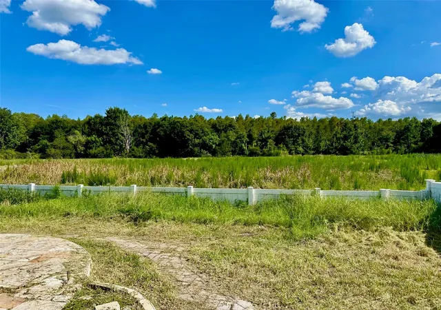 58th image of 2904 Trinity Cottage Dr, Land O Lakes, FL 34638 | MLS# TB8536100