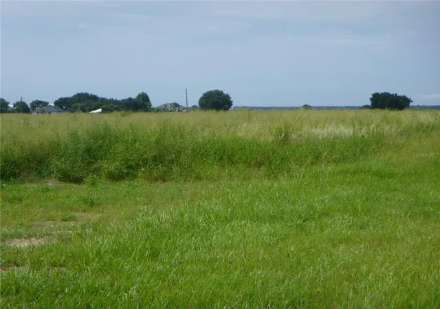 3rd image of 2975 Pit Rd, Bartow, FL 33830 | MLS# B4902323
