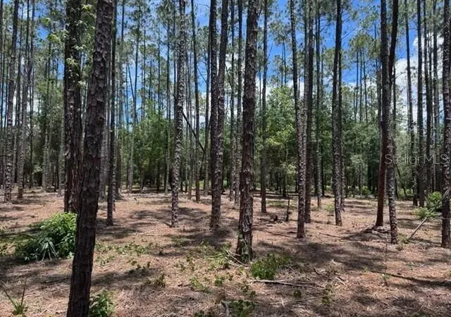 Photo 1 of Land for sale at 18517 Livingston Ave, Lutz, FL 33559 | MLS# TB8536174 | Listing updated on 2026-08-06