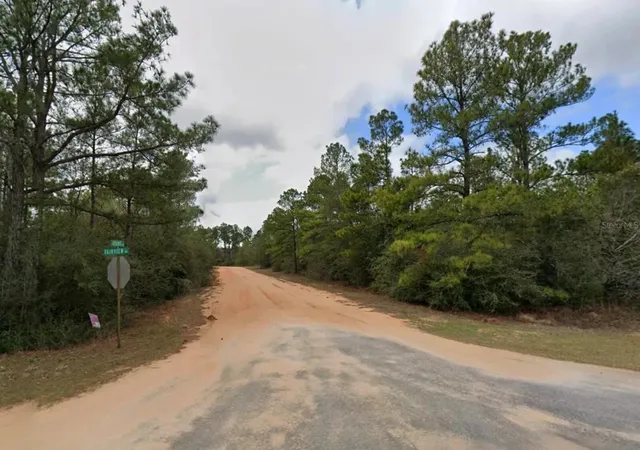 3rd image of Adams Dr, Alford, FL 32420 | MLS# O6431019