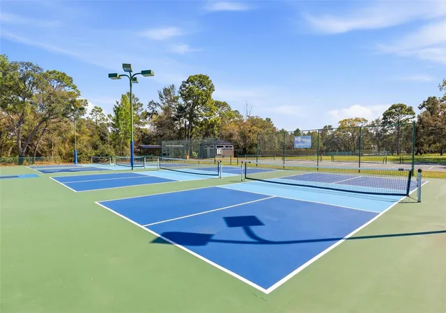 88th image of 10017 Scarlett Ct, Weeki Wachee, FL 34613 | MLS# W7888303