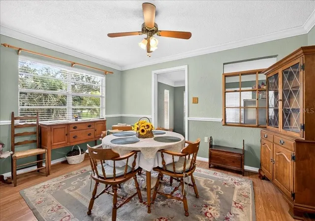 Photo 4 of Single family home for sale at 404 Pine Rd, Ormond Beach, FL 32176 | MLS# V4950576 | Listing updated on 2026-10-05