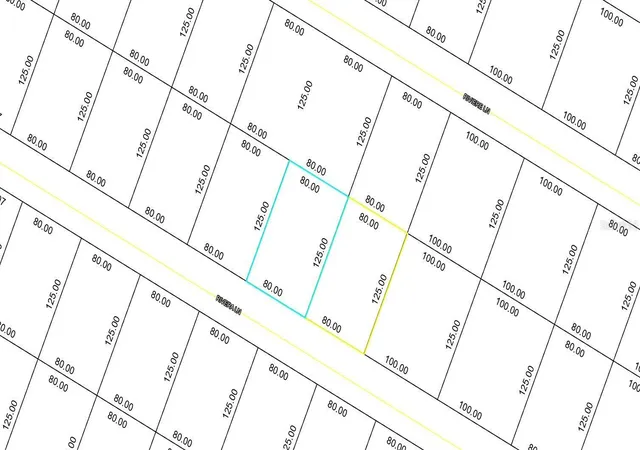 4th image of 39 Rivera Ln, Palm Coast, FL 32164 | MLS# FC320480