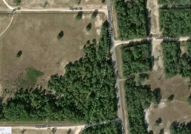 Photo 2 of Land for sale at County Rd 315c, Melrose, FL 32666 | MLS# GC542521 | Listing updated on 2026-09-25