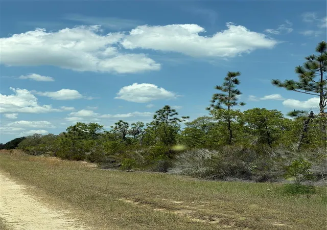 Photo 4 of Land for sale at NE 110th Avenue, Bronson, FL 32621 | MLS# GC542522 | Listing updated on 2026-08-11