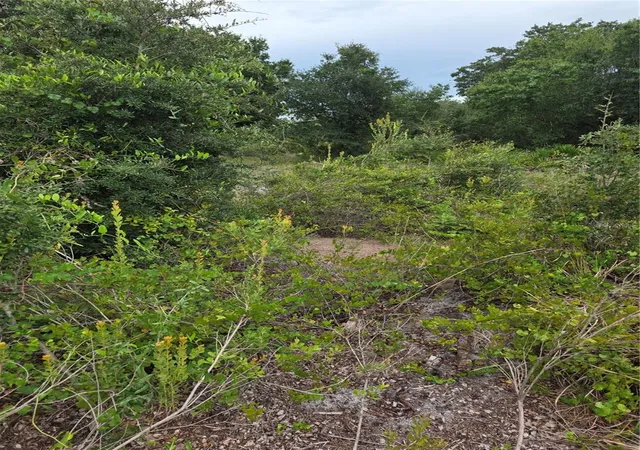 Photo 2 of Land for sale at 2354 Marcella Ter, Punta Gorda, FL 33983 | MLS# C7529270 | Listing updated on 2026-10-06