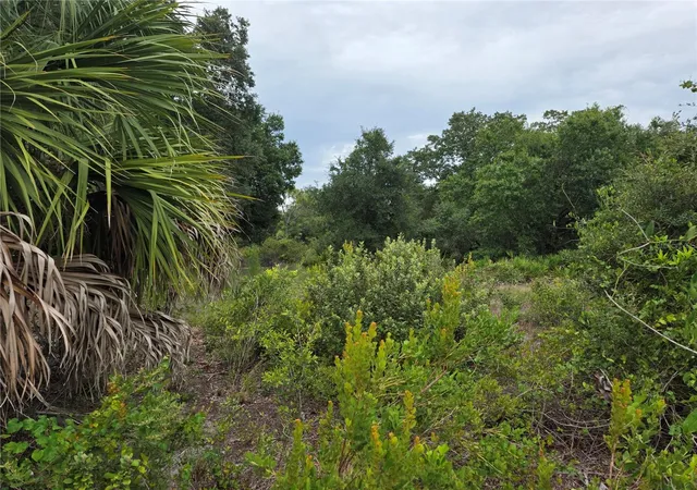 Photo 3 of Land for sale at 2354 Marcella Ter, Punta Gorda, FL 33983 | MLS# C7529270 | Listing updated on 2026-10-06