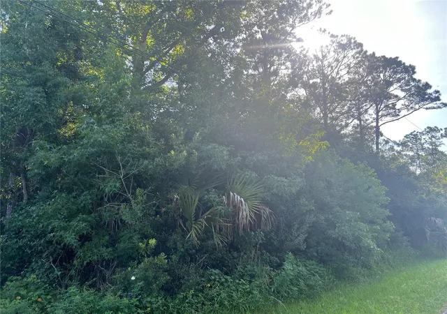 4th image of 41 Rivera Ln, Palm Coast, FL 32164 | MLS# FC320486