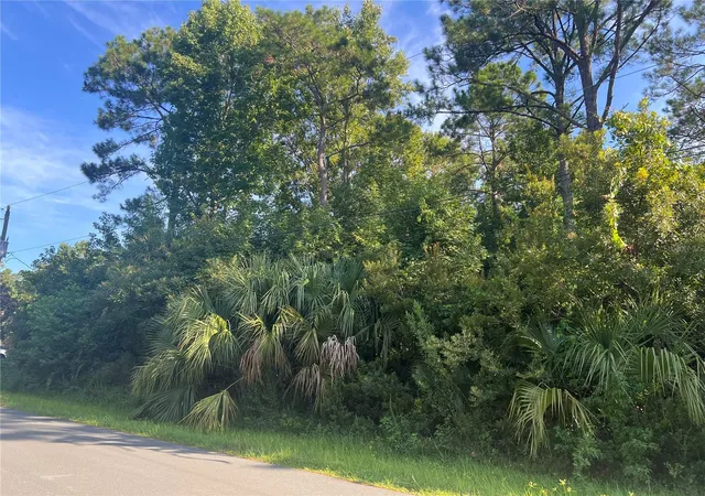 5th image of 41 Rivera Ln, Palm Coast, FL 32164 | MLS# FC320486