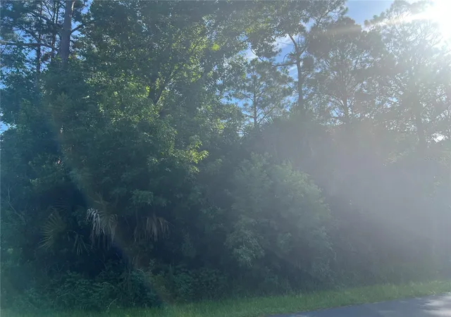8th image of 41 Rivera Ln, Palm Coast, FL 32164 | MLS# FC320486