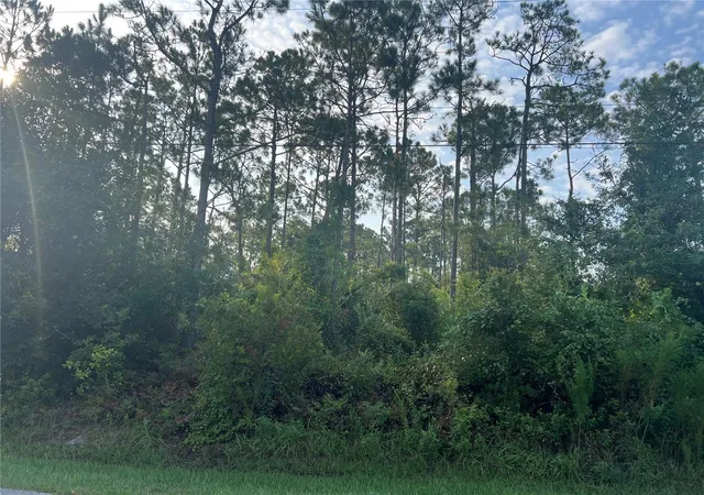 4th image of 85 Whittington Dr, Palm Coast, FL 32164 | MLS# FC320488