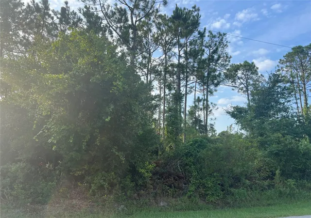 5th image of 85 Whittington Dr, Palm Coast, FL 32164 | MLS# FC320488