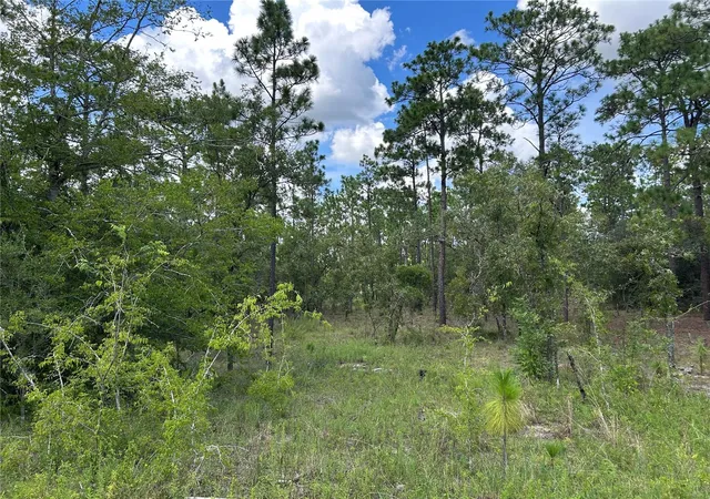 Photo 1 of Land for sale at Tbd Se 26th Street, Morriston, FL 32668 | MLS# OM729854 | Listing updated on 2026-08-10