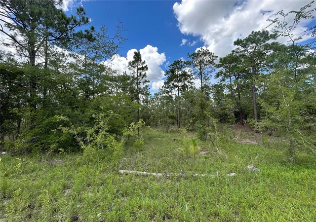 Photo 2 of Land for sale at Tbd Se 26th Street, Morriston, FL 32668 | MLS# OM729854 | Listing updated on 2026-08-10