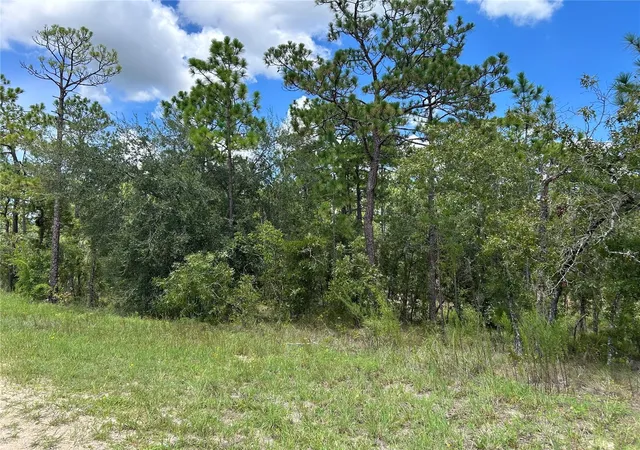 Photo 3 of Land for sale at Tbd Se 26th Street, Morriston, FL 32668 | MLS# OM729854 | Listing updated on 2026-08-10