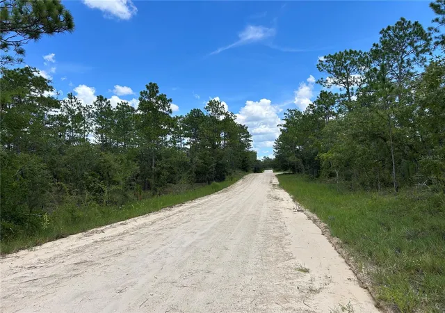 Photo 3 of Land for sale at Tbd SE 26th Street, Morriston, FL 32668 | MLS# OM729854 | Listing updated on 2026-08-10