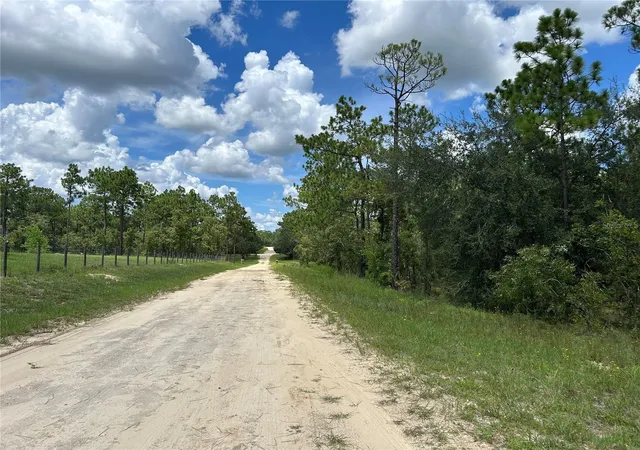 Photo 4 of Land for sale at Tbd SE 26th Street, Morriston, FL 32668 | MLS# OM729854 | Listing updated on 2026-08-10