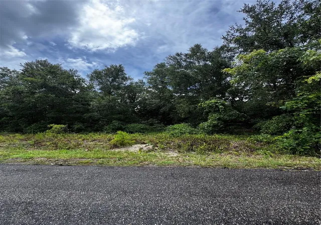 1st image of 00 Se 115th Pl Rd, Ocklawaha, FL 32179 | MLS# OM729855
