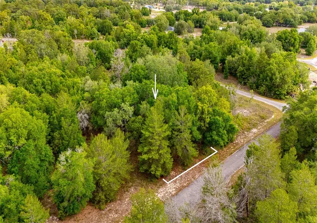 3rd image of 15 Magnolia Dr, Ocklawaha, FL 32179 | MLS# TB8536399