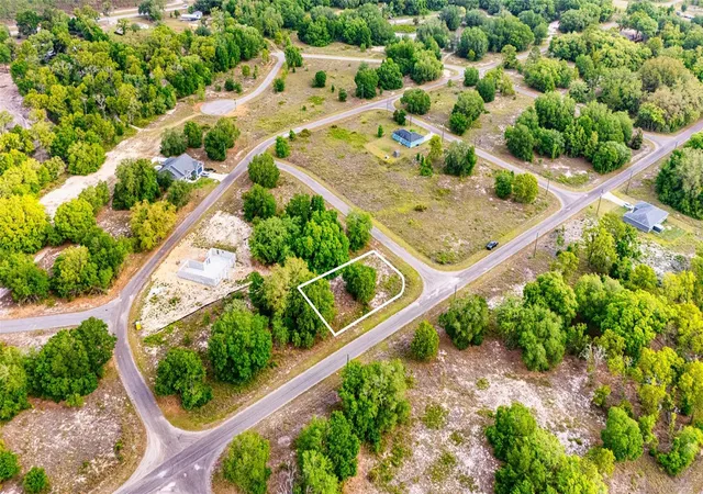 3rd image of 39 Guava Trak, Ocklawaha, FL 32179 | MLS# TB8536408