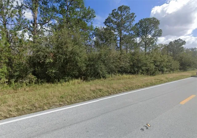1st image of Old Grade Rd, Polk City, FL 33868 | MLS# A4702222