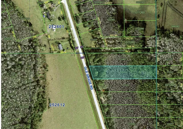 4th image of Old Grade Rd, Polk City, FL 33868 | MLS# A4702222