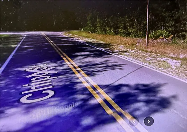 Photo 3 of Land for sale at 0 Chipo St, Interlachen, FL 32148 | MLS# P4939528 | Listing updated on 2026-08-07