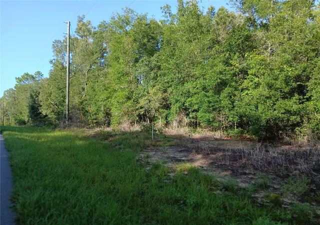 Photo 1 of Land for sale at 10762 N Academy Dr, Citrus Springs, FL 34434 | MLS# OM729887 | Listing updated on 2026-08-07