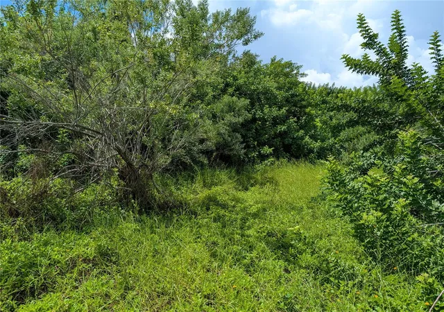 Photo 3 of Land for sale at Larson St, Englewood, FL 34223 | MLS# D6148328 | Listing updated on 2026-09-29