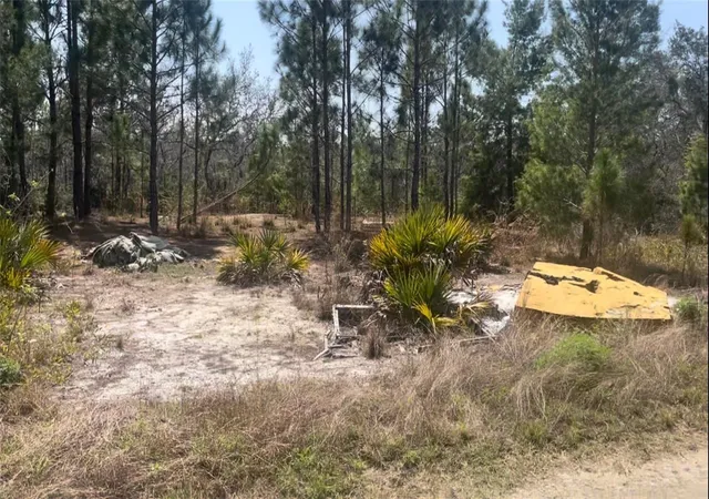 1st image of 246 Caspian Tern Ave, Sebring, FL 33870 | MLS# O6431459