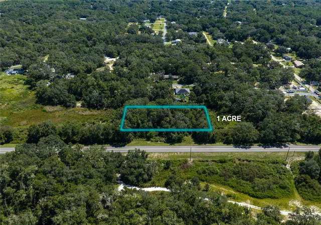 Photo 3 of Land for sale at 6451 N Carl G Rose Hwy, Hernando, FL 34442 | MLS# W7888353 | Listing updated on 2026-10-01