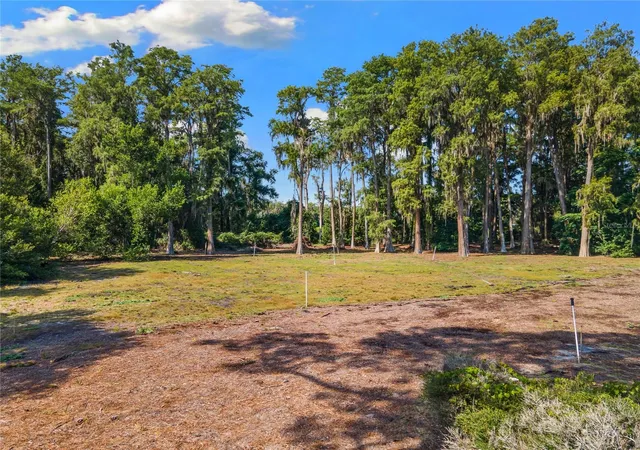 18th image of 18150 Burrell Rd, Odessa, FL 33556 | MLS# TB8536693
