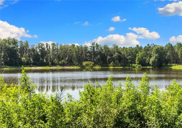 5th image of 18150 Burrell Rd, Odessa, FL 33556 | MLS# TB8536693