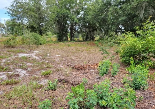 3rd image of E Lake Shore Blvd, Kissimmee, FL 34744 | MLS# O6431655