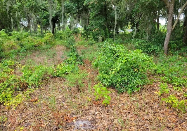 4th image of E Lake Shore Blvd, Kissimmee, FL 34744 | MLS# O6431655