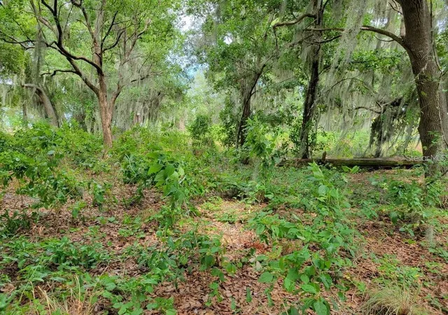 5th image of E Lake Shore Blvd, Kissimmee, FL 34744 | MLS# O6431655