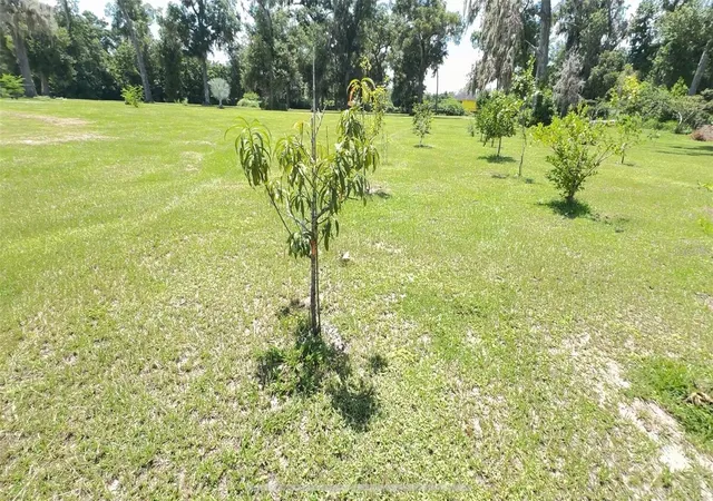 Photo 3 of Land for sale at 0 N Us Hwy 441, Ocala, FL 34475 | MLS# TB8536922 | Listing updated on 2026-09-06