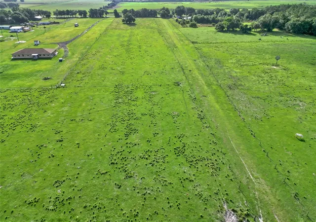 Photo 12 of Land for sale at N Ed Wells Rd, Wauchula, FL 33873 | MLS# P4939538 | Listing updated on 2026-08-08