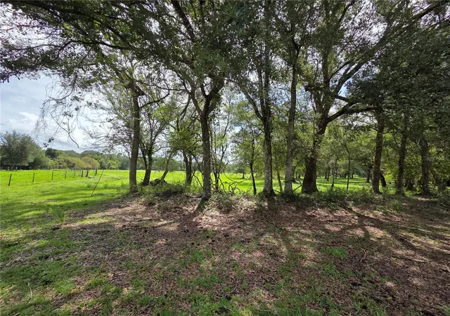 4th image of Cr 614A, Bushnell, FL 33513 | MLS# G5116206