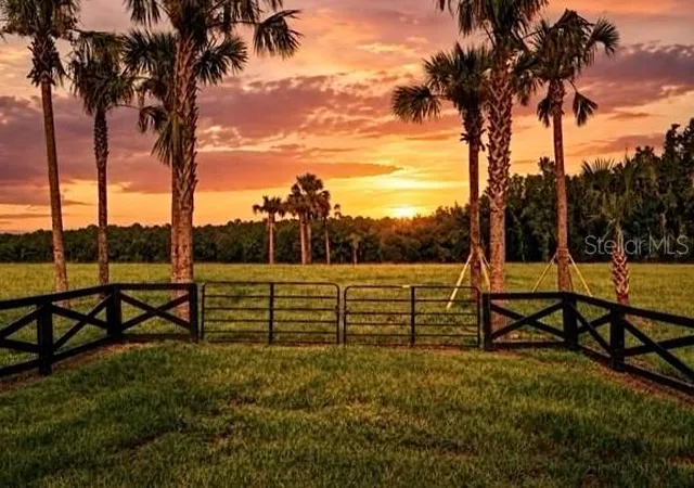 Land for sale at Tbd Highway 329, Reddick, FL 32686 | MLS# OM729974