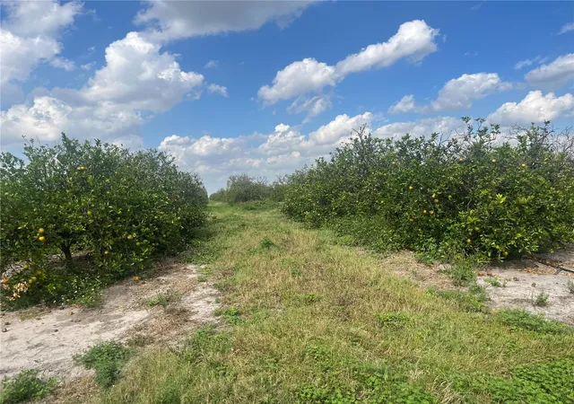 Land for sale at Northeast Hwy 70 #04-24-04, ARCADIA, FL 34266 | MLS# O6431847