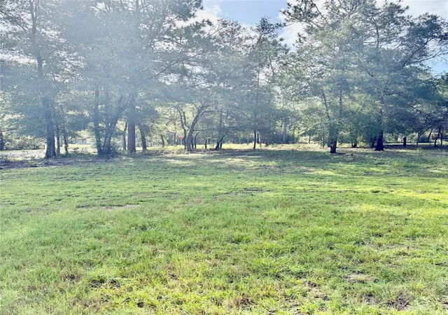 3rd image of 8680 Sw 209Th Ct, Dunnellon, FL 34431 | MLS# OM729980