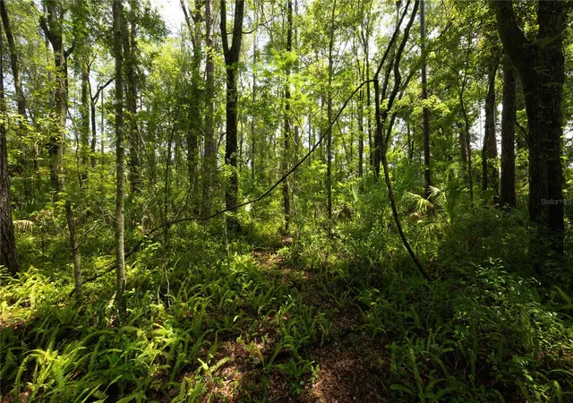 1st image of 0000 Nw 34th St, Gainesville, FL 32605 | MLS# GC542573