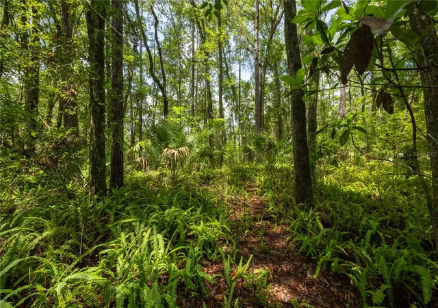5th image of 0000 Nw 34Th St, Gainesville, FL 32605 | MLS# GC542573