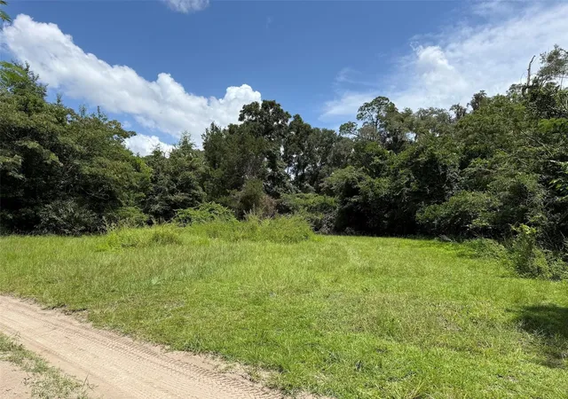 Photo 3 of Land for sale at Us Hwy 27, Fort White, FL 32038 | MLS# GC542574 | Listing updated on 2026-08-10