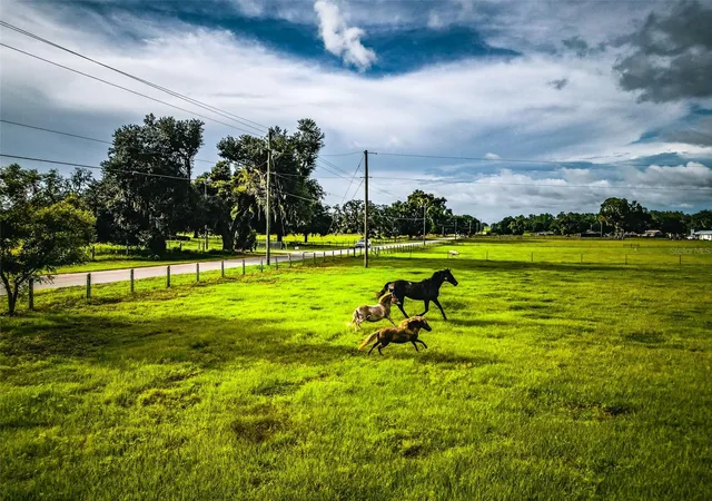 79th image of 16736 Powerline Rd, Dade City, FL 33523 | MLS# TB8537060
